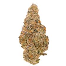 Energetic Flower 001